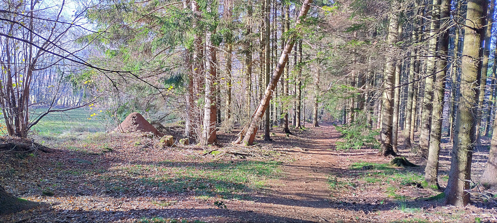 Wanderweg