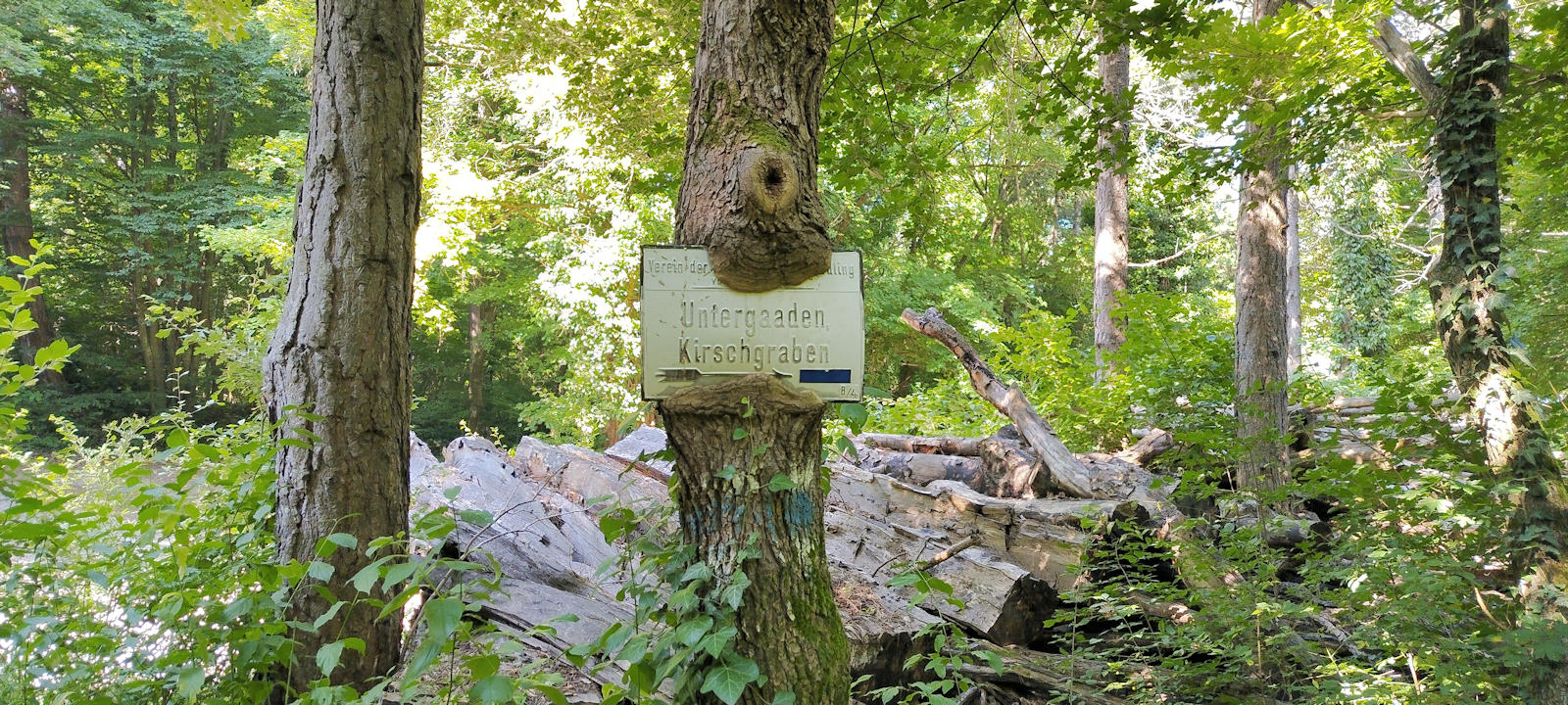 Wegweiser