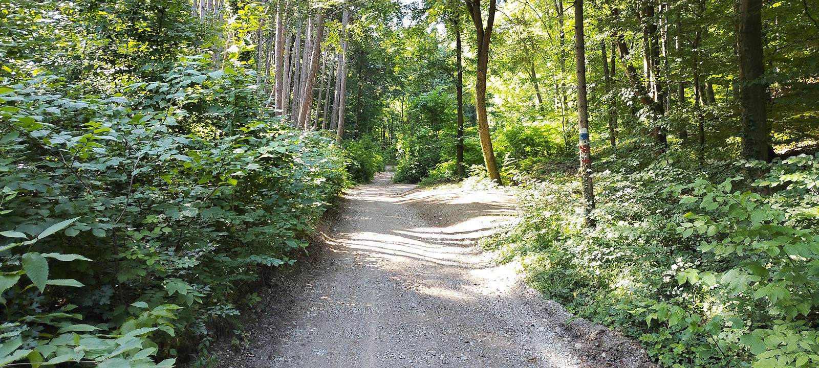 Forststraße