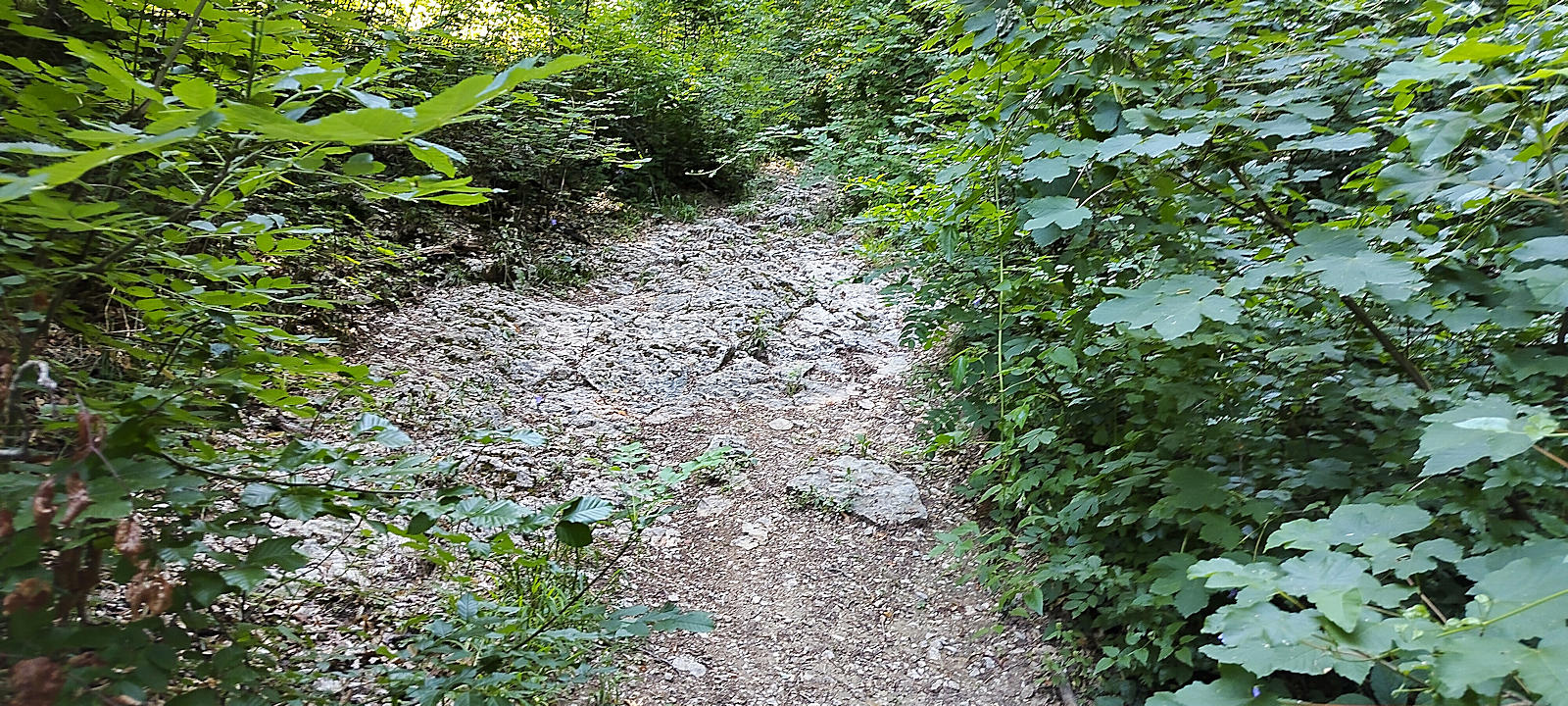 Wanderweg