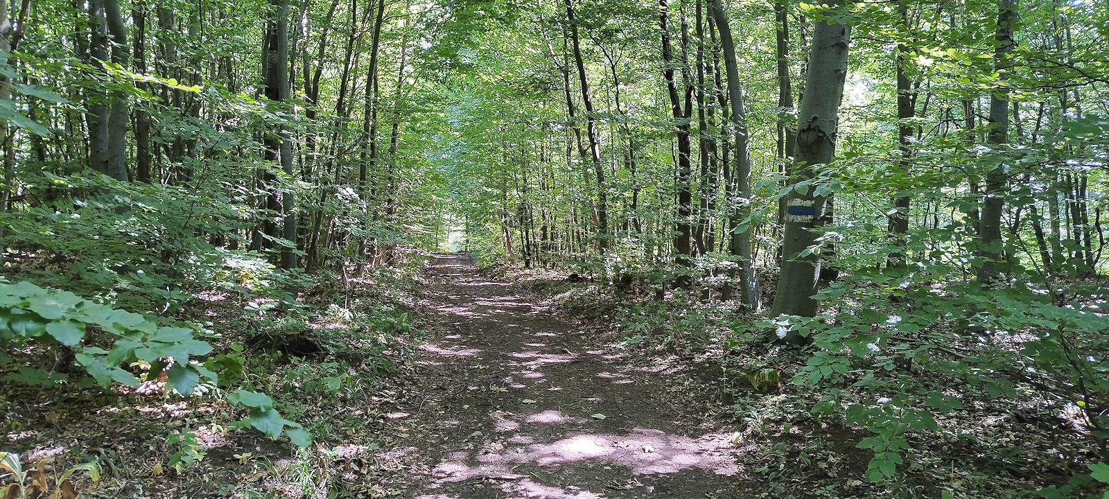 Weg