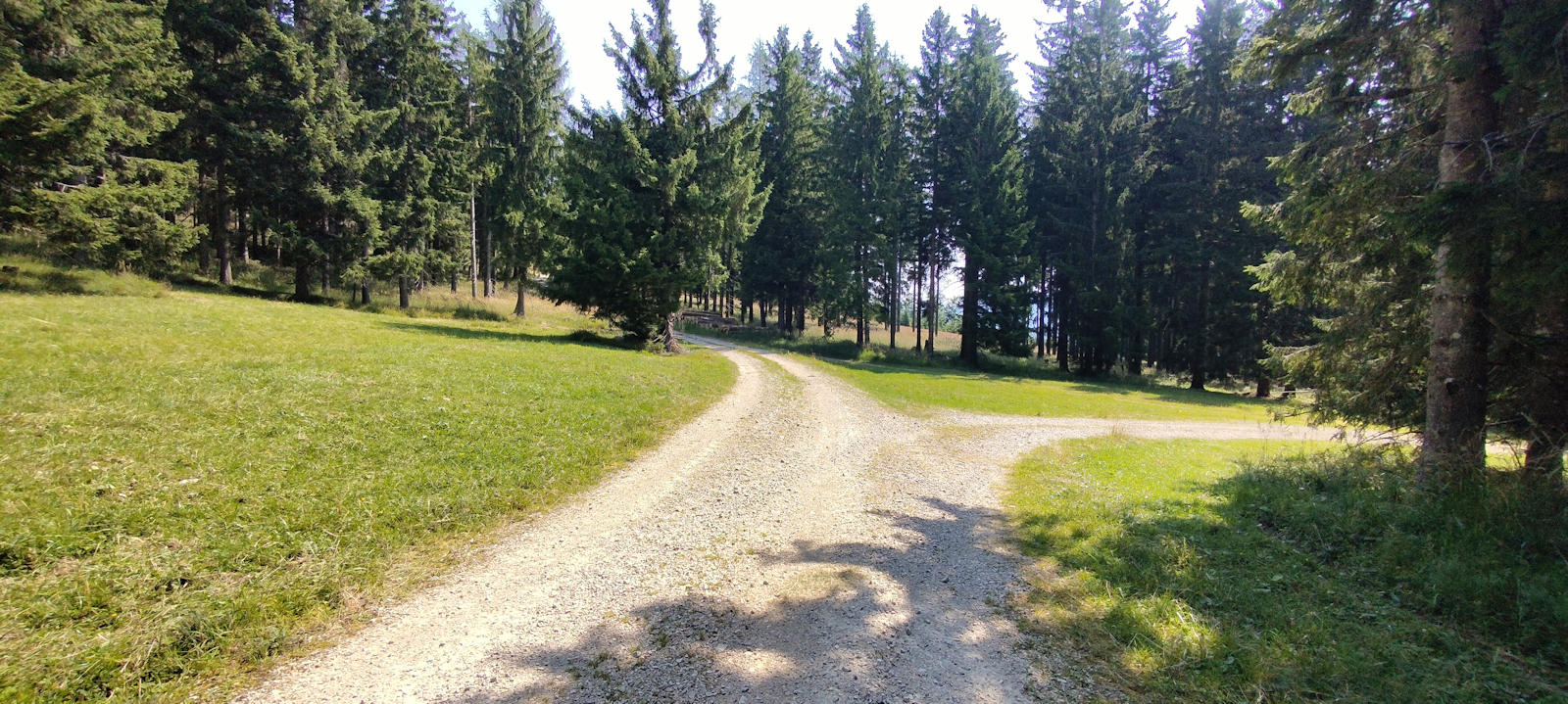 Forstweg