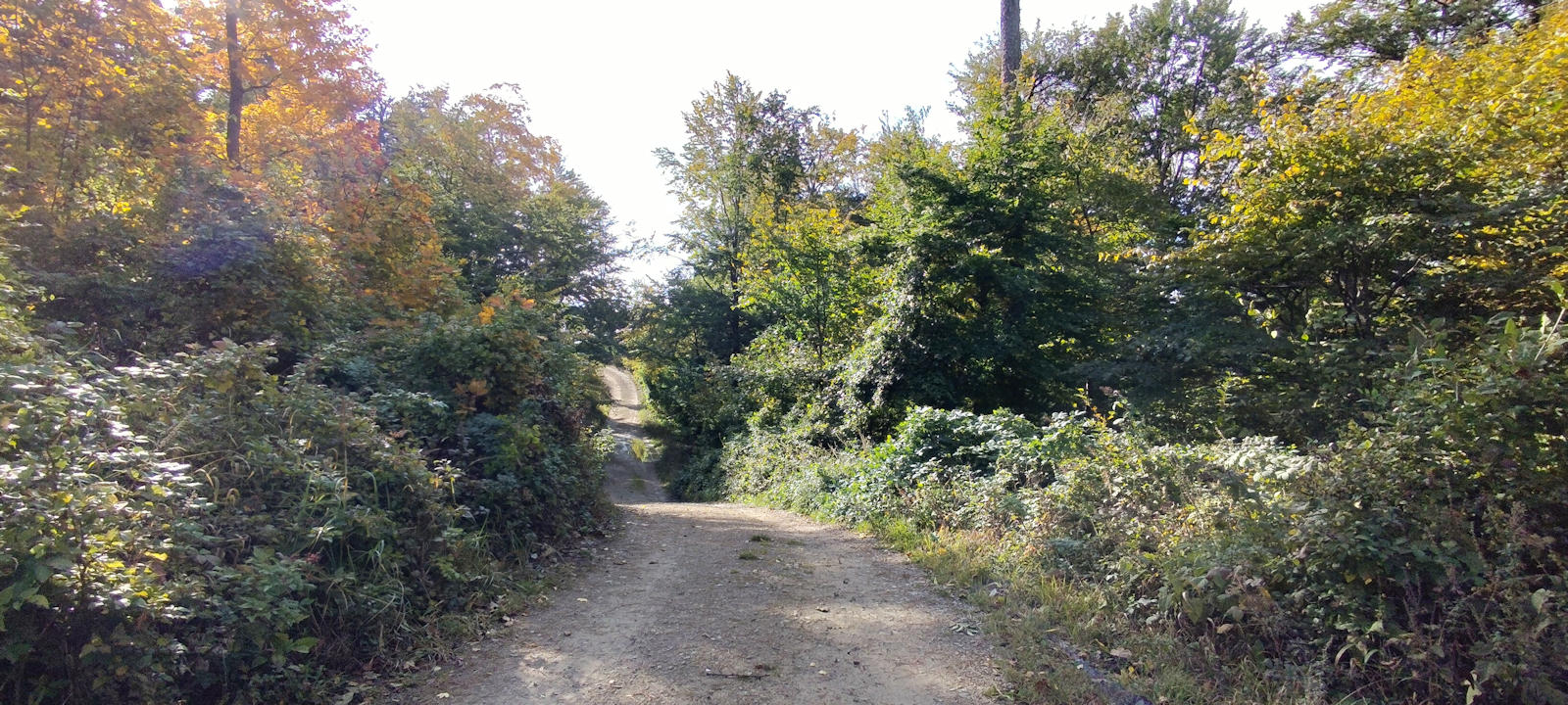 Wanderweg